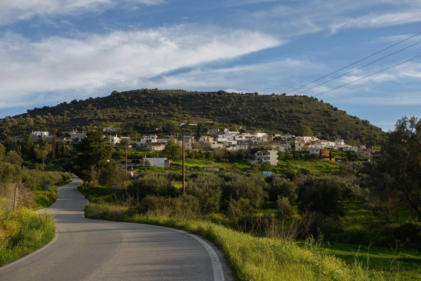 Kouses Estate Close To Matala,Komo Beach & Faistos Luaran gambar